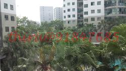 Summerdale (D22), Condominium #166180102